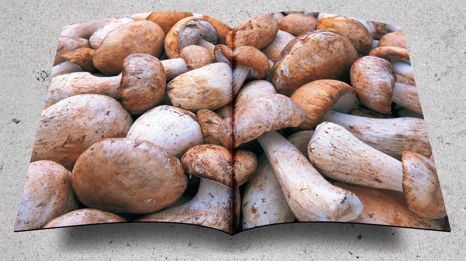 Kueppersbusch-Image-Produktkatalog-09